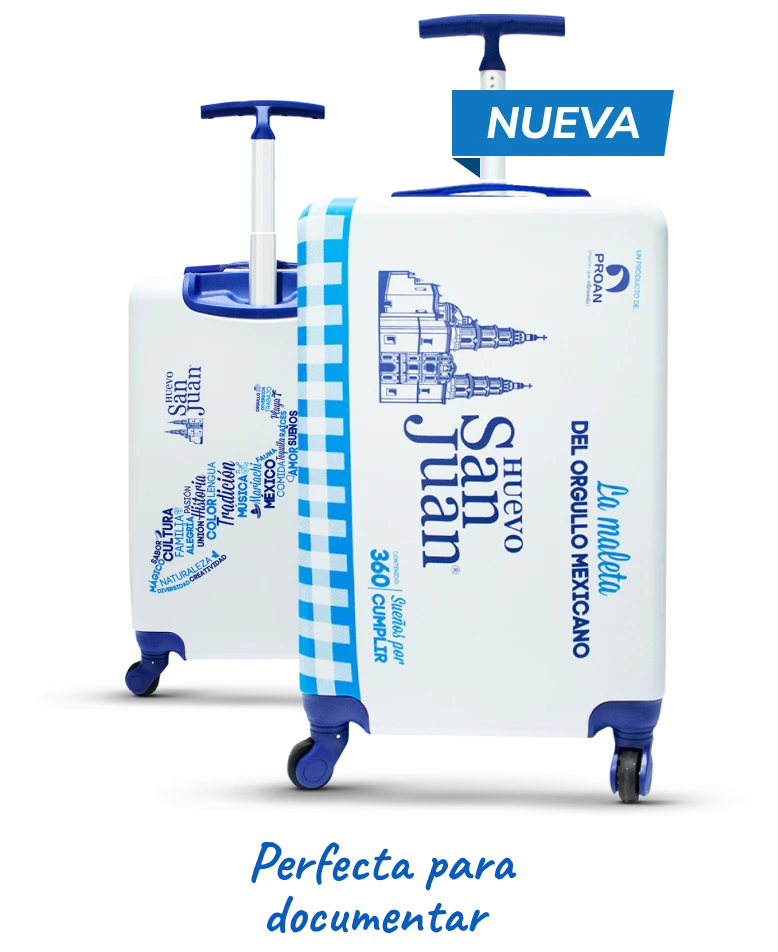 Maleta para documentar 27"
